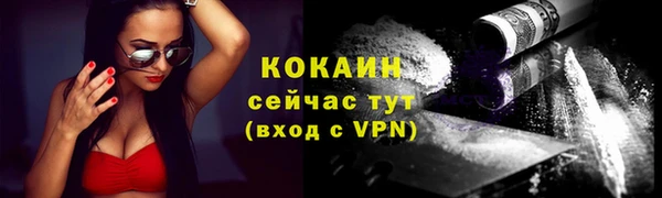 крисы Пересвет