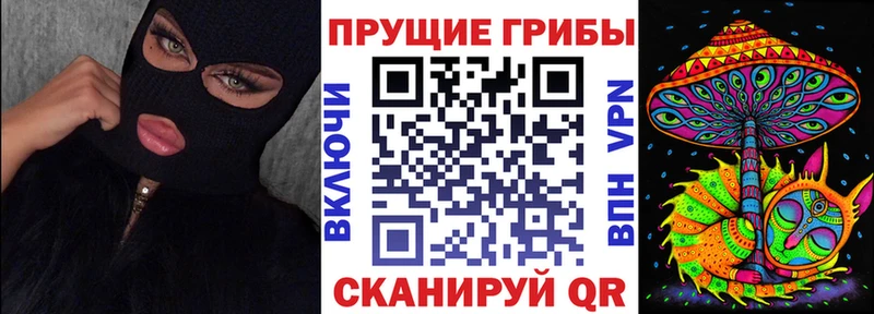 хочу наркоту  Фролово  МЕГА ТОР  Галлюциногенные грибы Magic Shrooms 