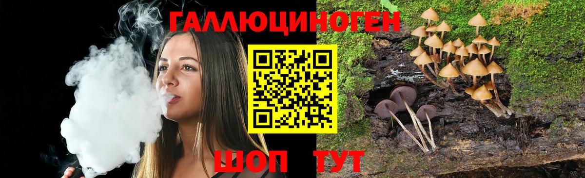 Галлюциногенные грибы мухоморы  Псилоцибиновые грибы Psilocybe  Фролово 