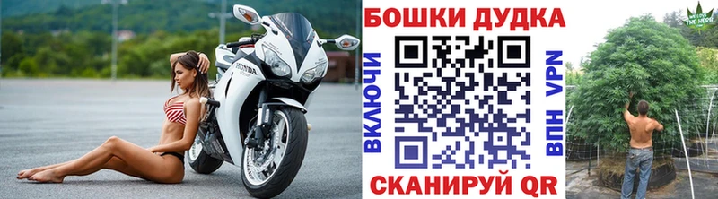 Марихуана план  где продают наркотики  Фролово 